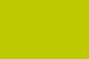 Farbe apfelgrün (Partyradeln)